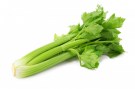 9101000_1526346716_sedano_verde_italia_categoria_23