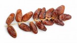 adobestock_242837486