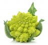 b841-10-cavolfiore-romanesco-natalino-2000-semi-124046-2