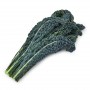 cavolo-nero