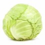 cavolo8