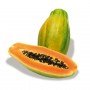 exotic-fruit-papaya-formosa-mc-garlet