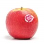 pink_lady