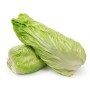 radicchi-pan-di-zucchero