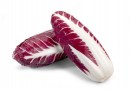 radicchio-treviso