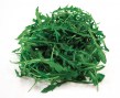 rucola