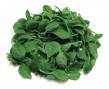 spinacino