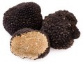 tar7